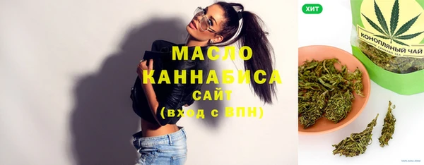 гашик Переславль-Залесский