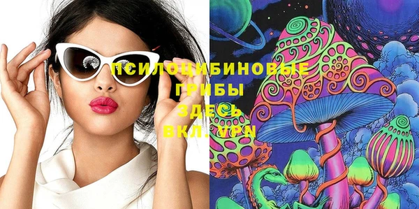 гашик Переславль-Залесский